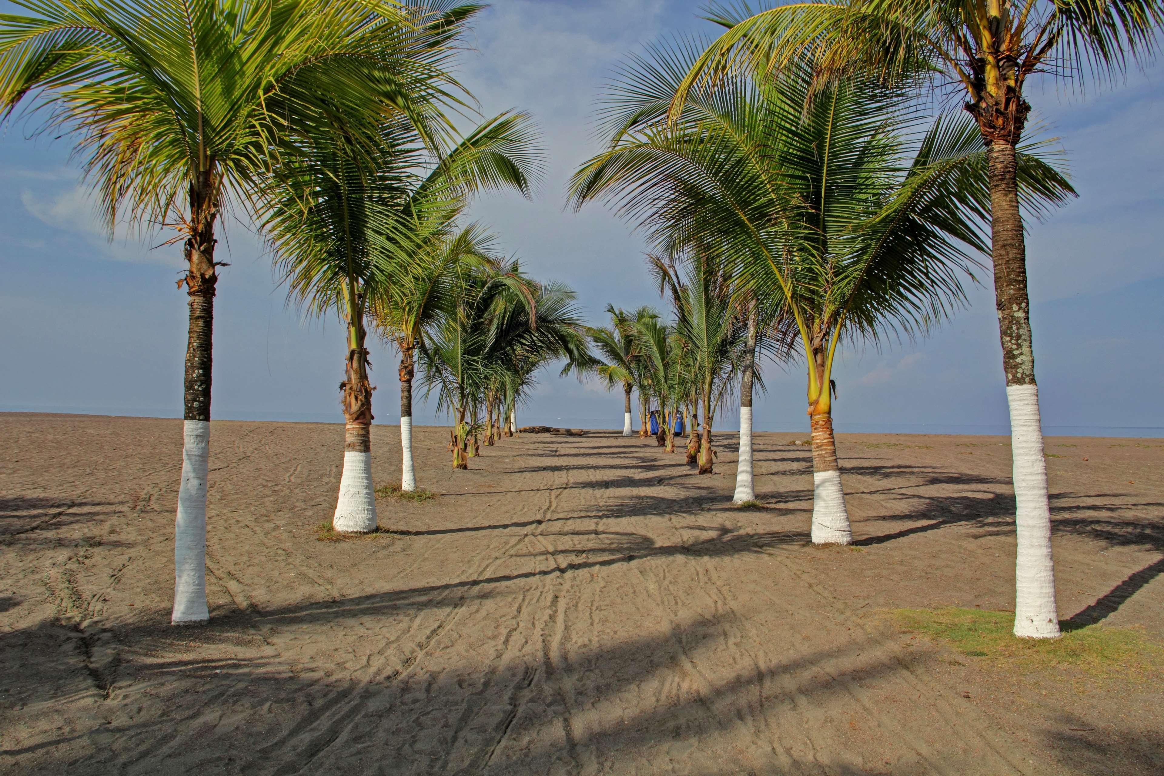 Best Western Jaco Beach All Inclusive Resort Екстер'єр фото